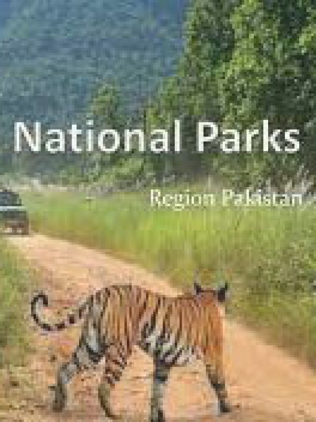 NATIONAL PARKS IN PAKISTAN- THE BEAUTY OF THE COUNTRY